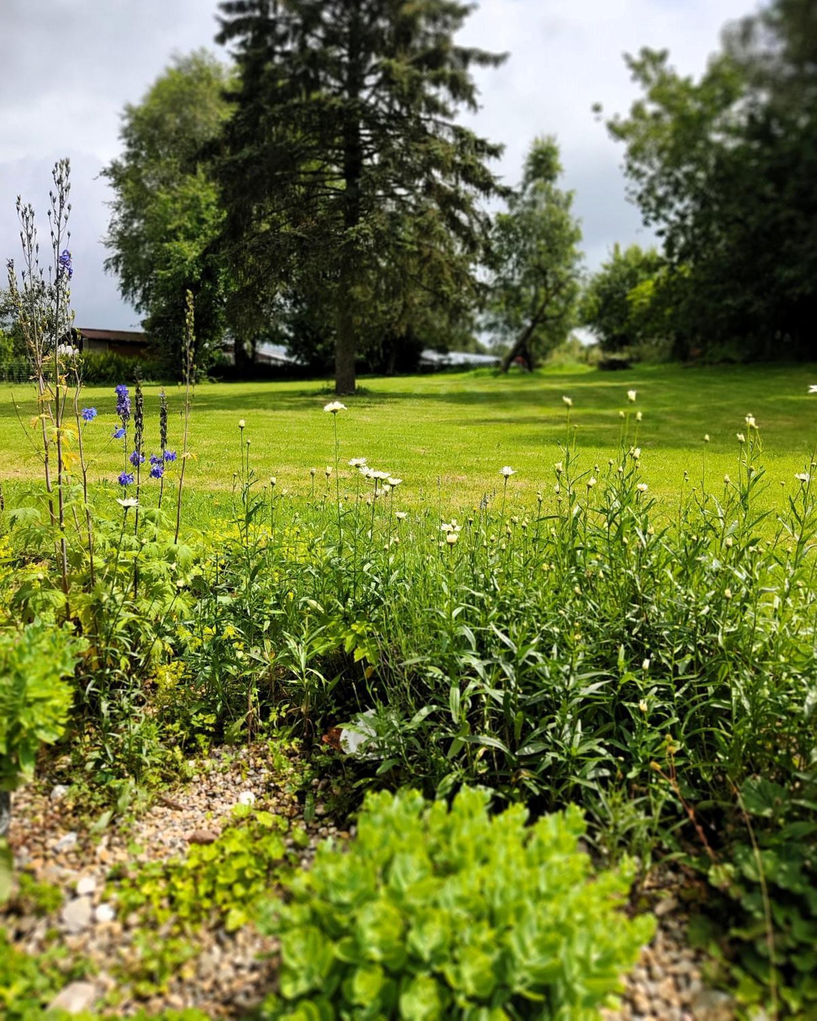 Gruenvogels Landgasthof Zum Gruenen Baum Oberzent Bagian luar foto