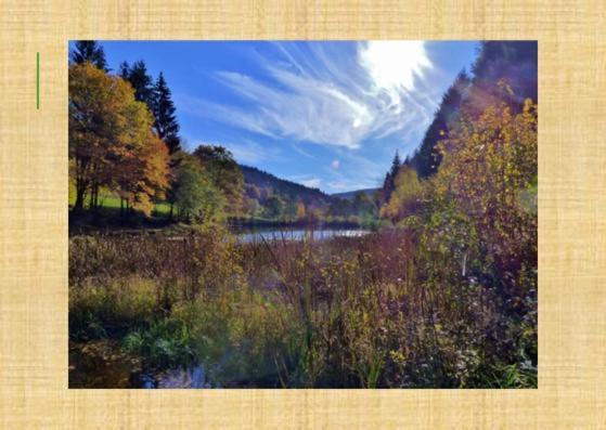 Gruenvogels Landgasthof Zum Gruenen Baum Oberzent Bagian luar foto