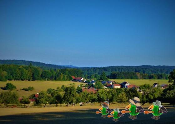Gruenvogels Landgasthof Zum Gruenen Baum Oberzent Bagian luar foto