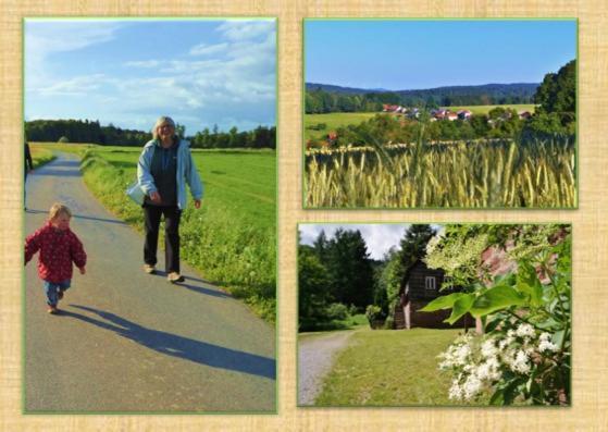 Gruenvogels Landgasthof Zum Gruenen Baum Oberzent Bagian luar foto